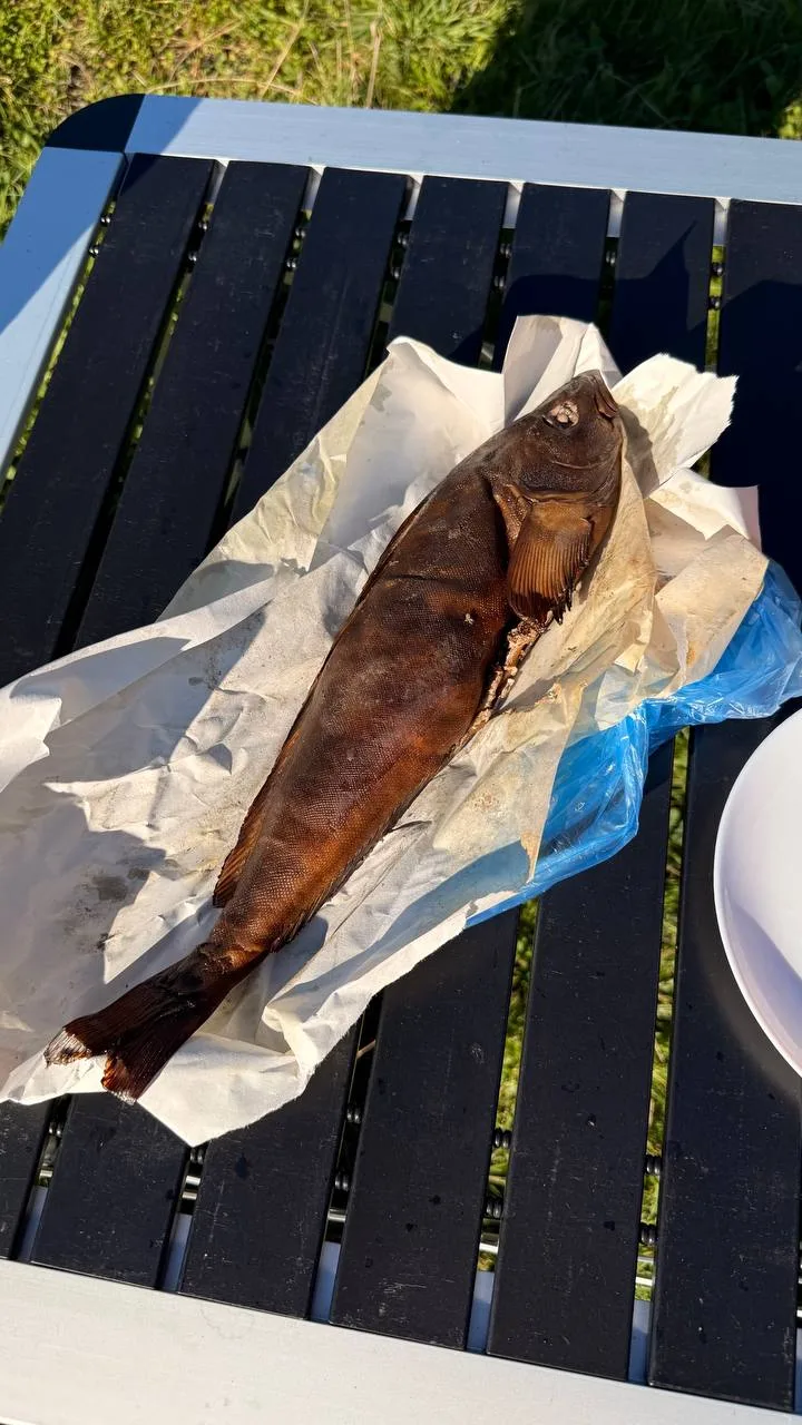 Кто хорошо поработал, тому копченую рыбу 🐟