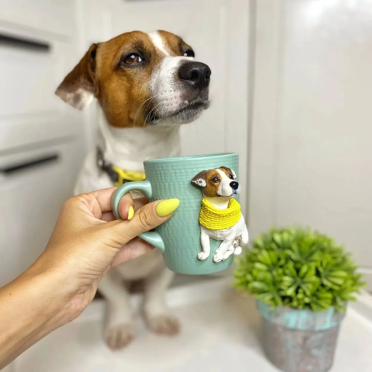 Мне срочно нужна такая кружка!

🐶 Подписаться на Джеков.