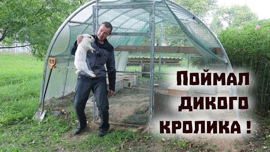 Доброго утра всем хорошим людям!) Сегодня, как обычно по вторникам - новое видео на наш...