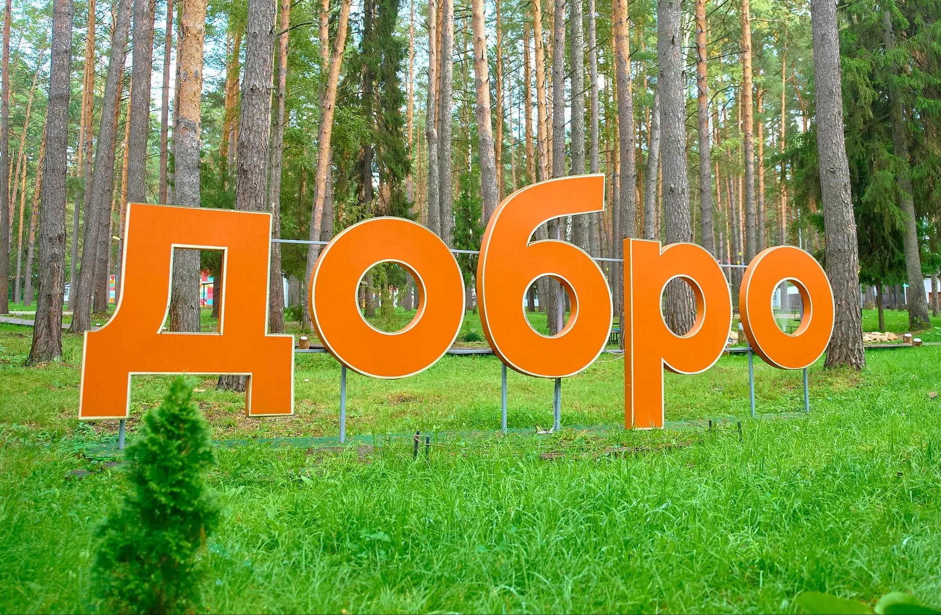 Старт стратегической сессии💚