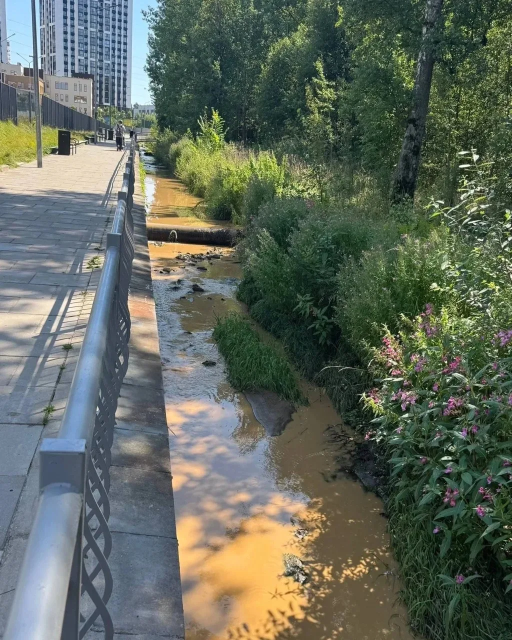 ⚠️ Одинцовцы требуют остановить загрязнение реки Саминки