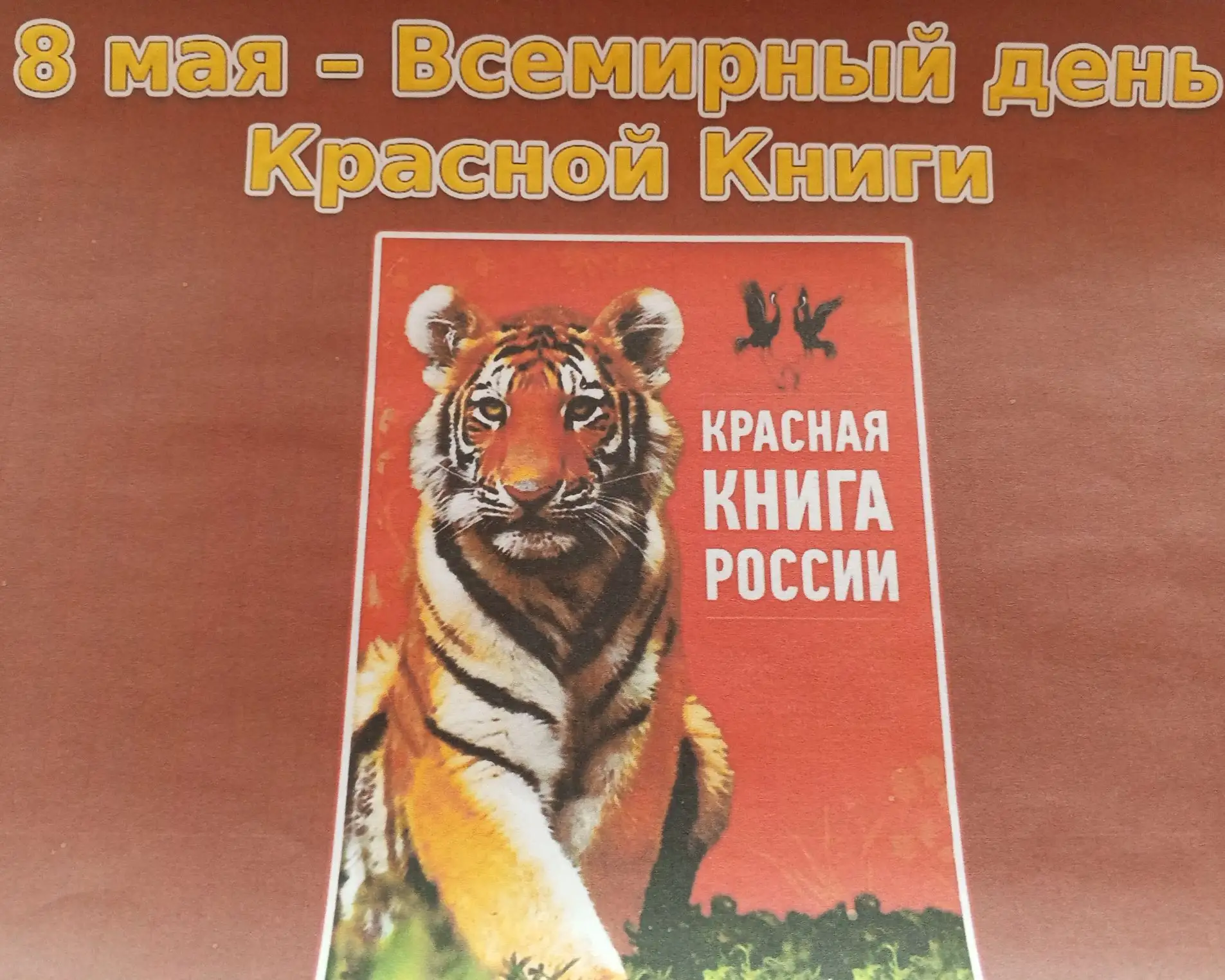Сегодня в  комбинированной группе прошёл тематический день, посвящённый Международному ...