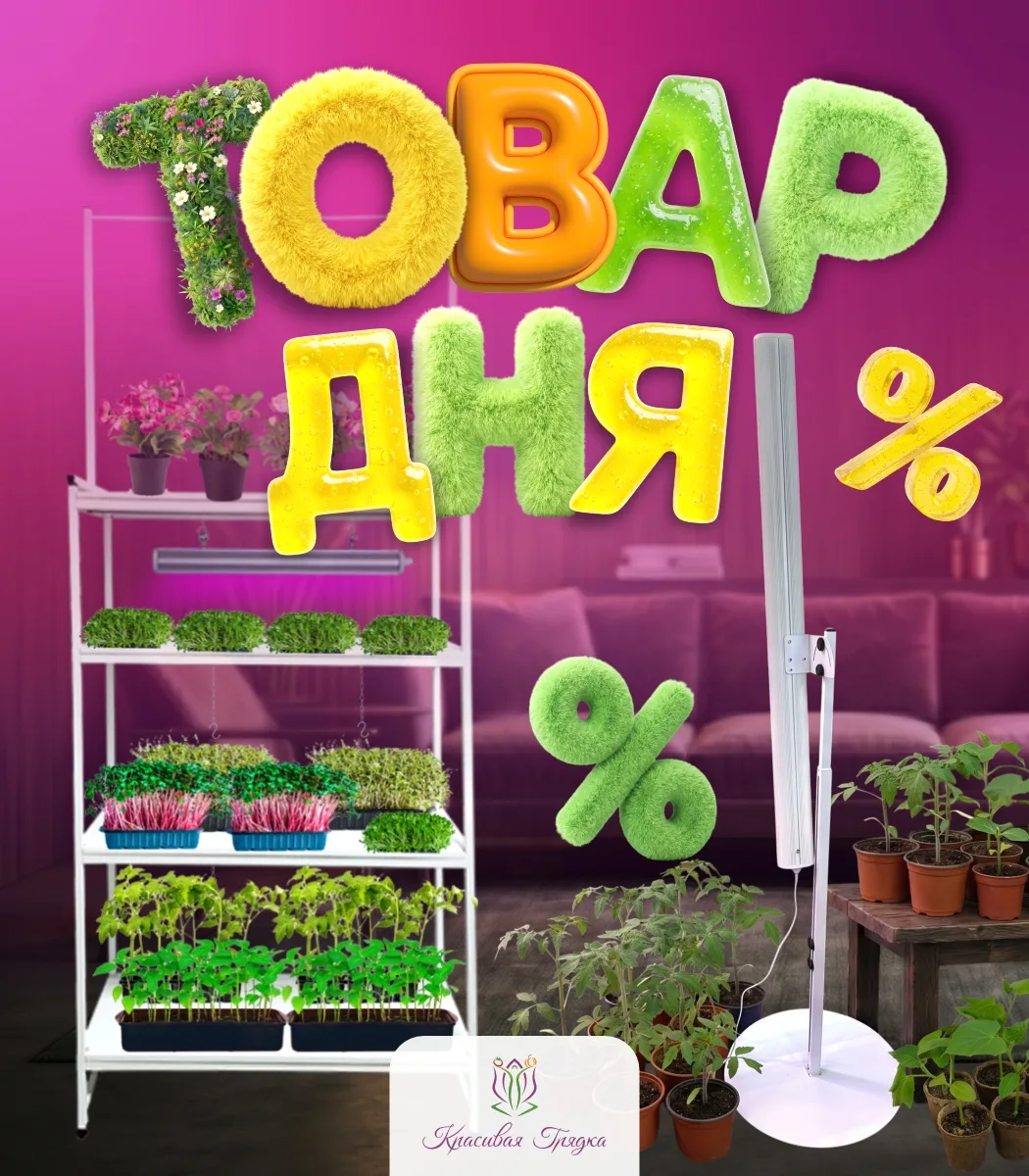 🔥 Сегодня четверг, а значит стартует акция «Товар дня»! 🔥