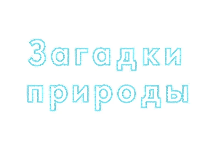 В старших группах прошло увлекательное развлечение на тему «Загадки природы», 🌱где ребята превратил