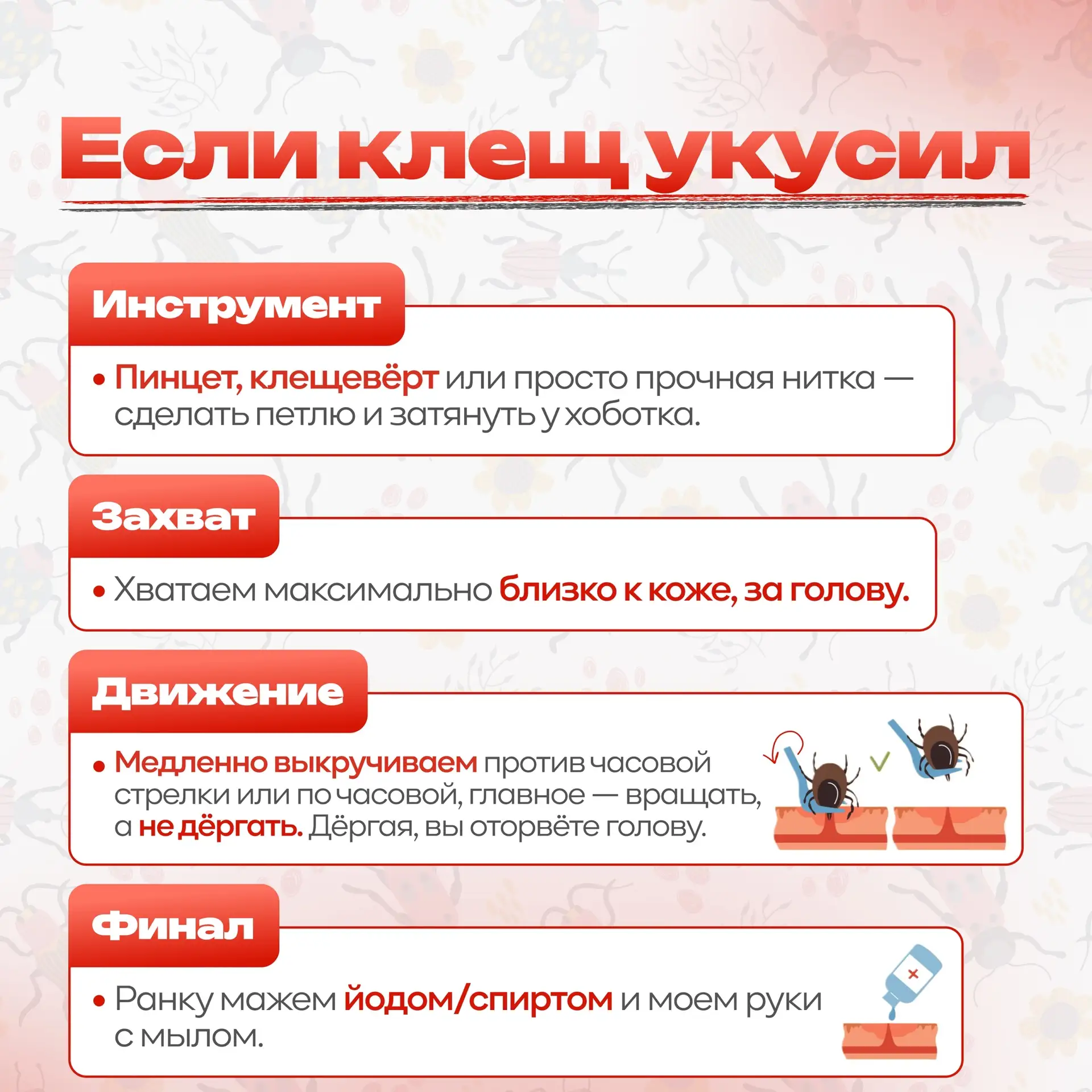 🐜🔎 Ура! Мы подготовили для вас памятку «Сезон клещей»!  📘 Теперь вы точно знаете, как обезопасить се