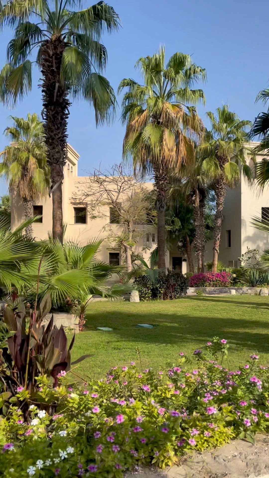 THE COVE ROTANA RESORT 5*