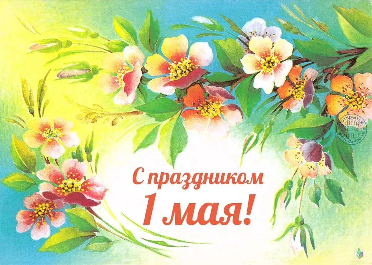 С Первым мая 🌿