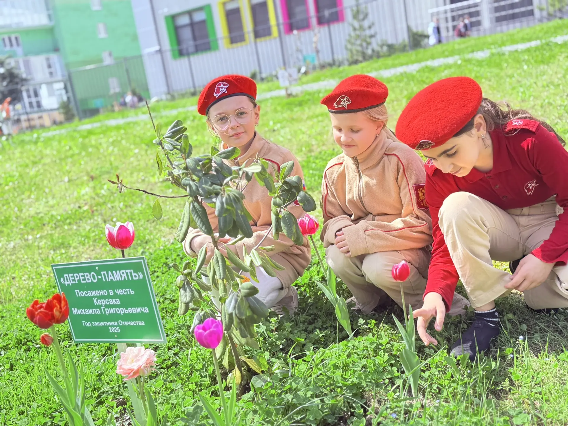 🌷 «Тюльпан Победы»: память, которая расцветает!🌷  Сквер «Живая память» словно зазвучал по-новому…  Т