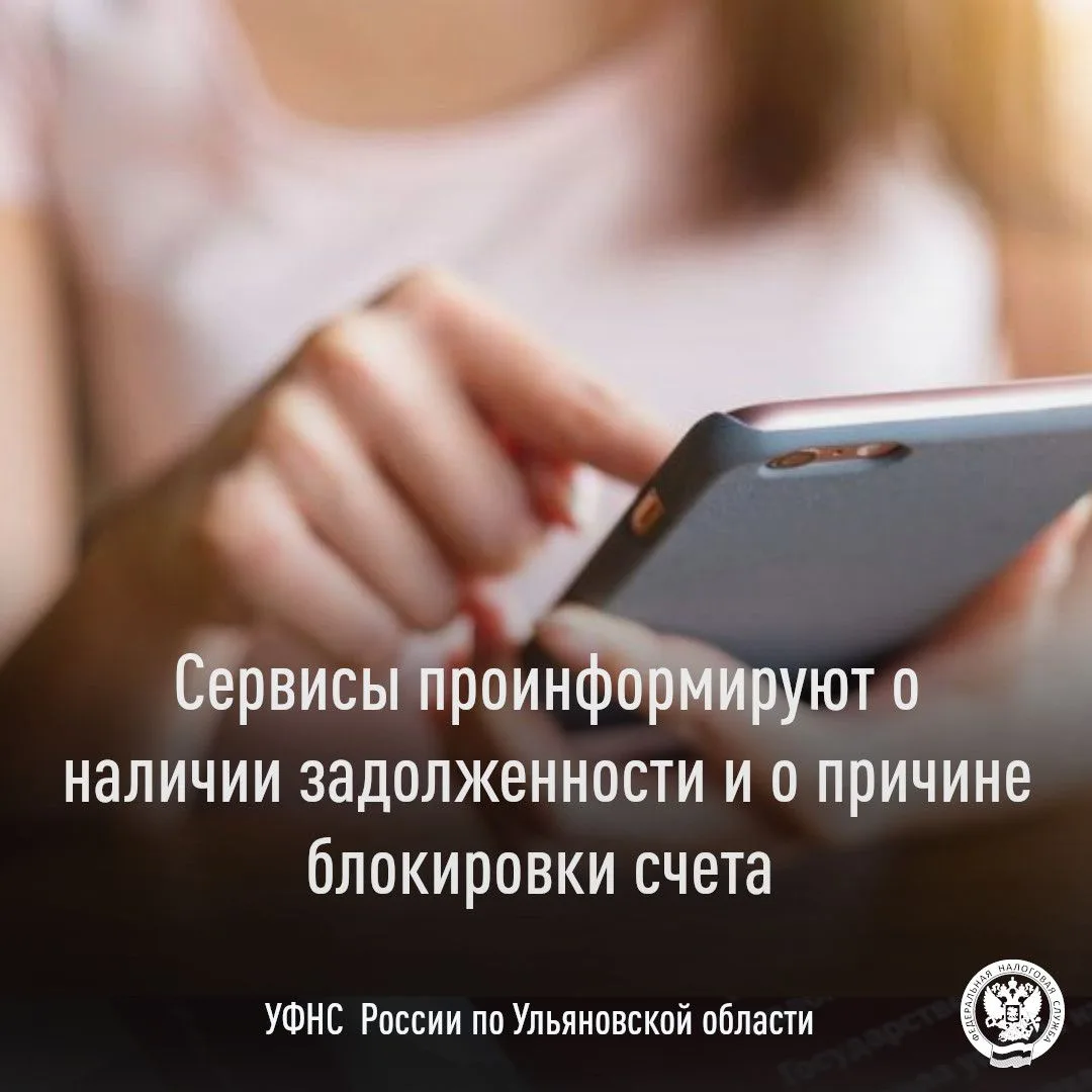 При наличии задолженности и при отсутствии информации о ней у налогоплательщика может возникнуть нео