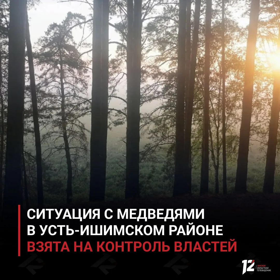 ❗️ Ситуация с медведями в Усть-Ишимском районе взята на контроль властей