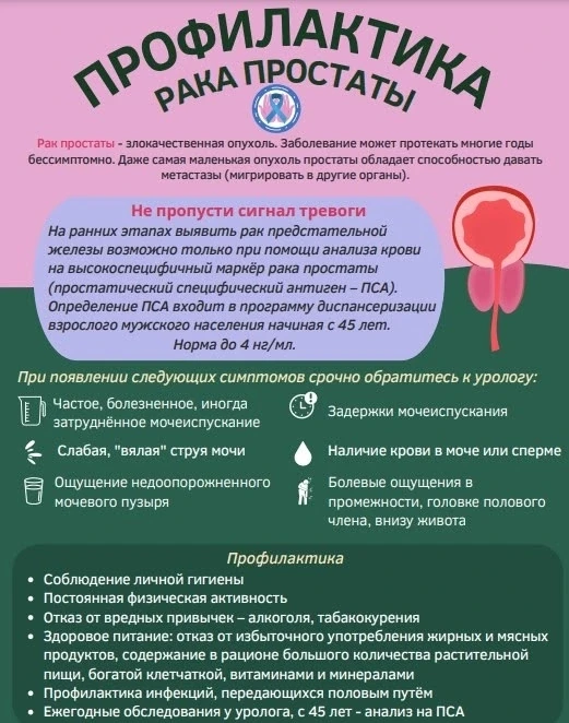 🗓 11 июня — Всемирный день борьбы с раком предстательной железы.

Рак простаты занимает 2-е место с