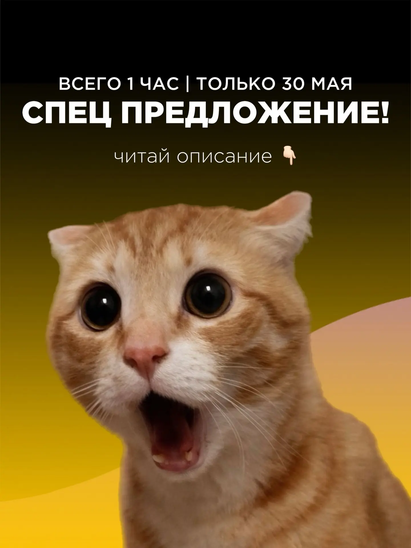 НОВАЯ ДАТА СПЕЦПРЕДЛОЖЕНИЯ ⏳