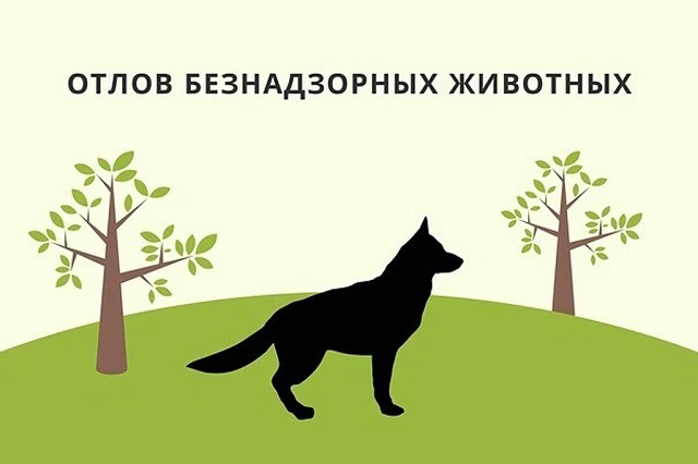 📢 Уважаемые жители села Партизанское!