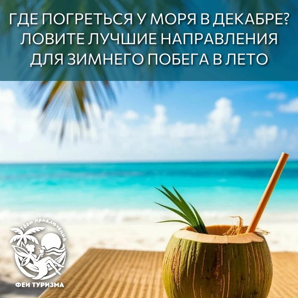🌴✈ Где погреться у моря в декабре? Ловите лучшие направления для зимнего побега в лето!