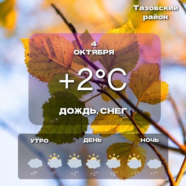 🌤️Прогноз погоды на сегодня