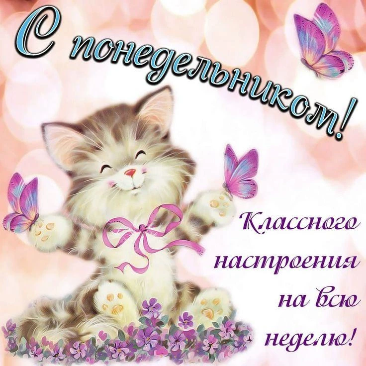 Желаем вам замечательного понедельника и успешной недели! Всё получится!