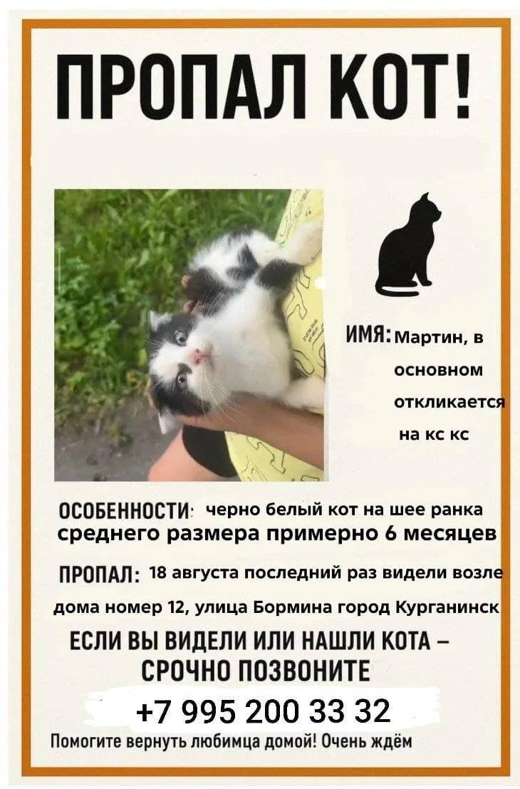 ‼️ПОИСК