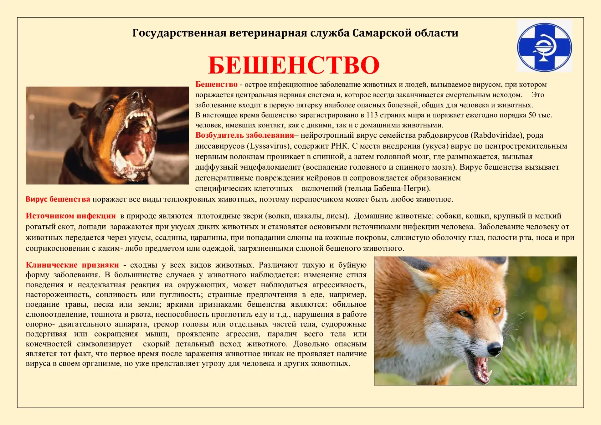 Бешенство опасно для человека, исход болезни смертельный!