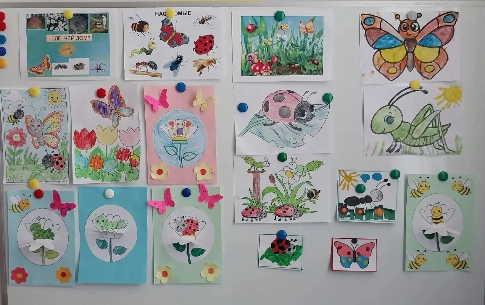 Тематическая неделя: "Насекомые" 🐛🦋🐜🐝🐞🦗🦟
