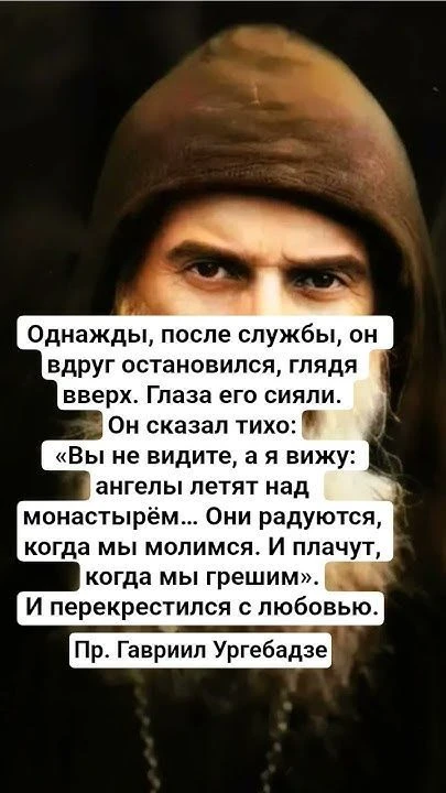 🕊️❤