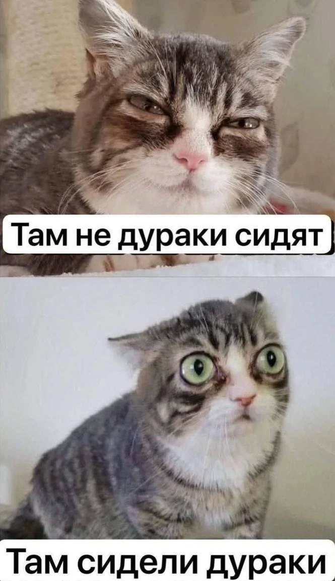 Жиза