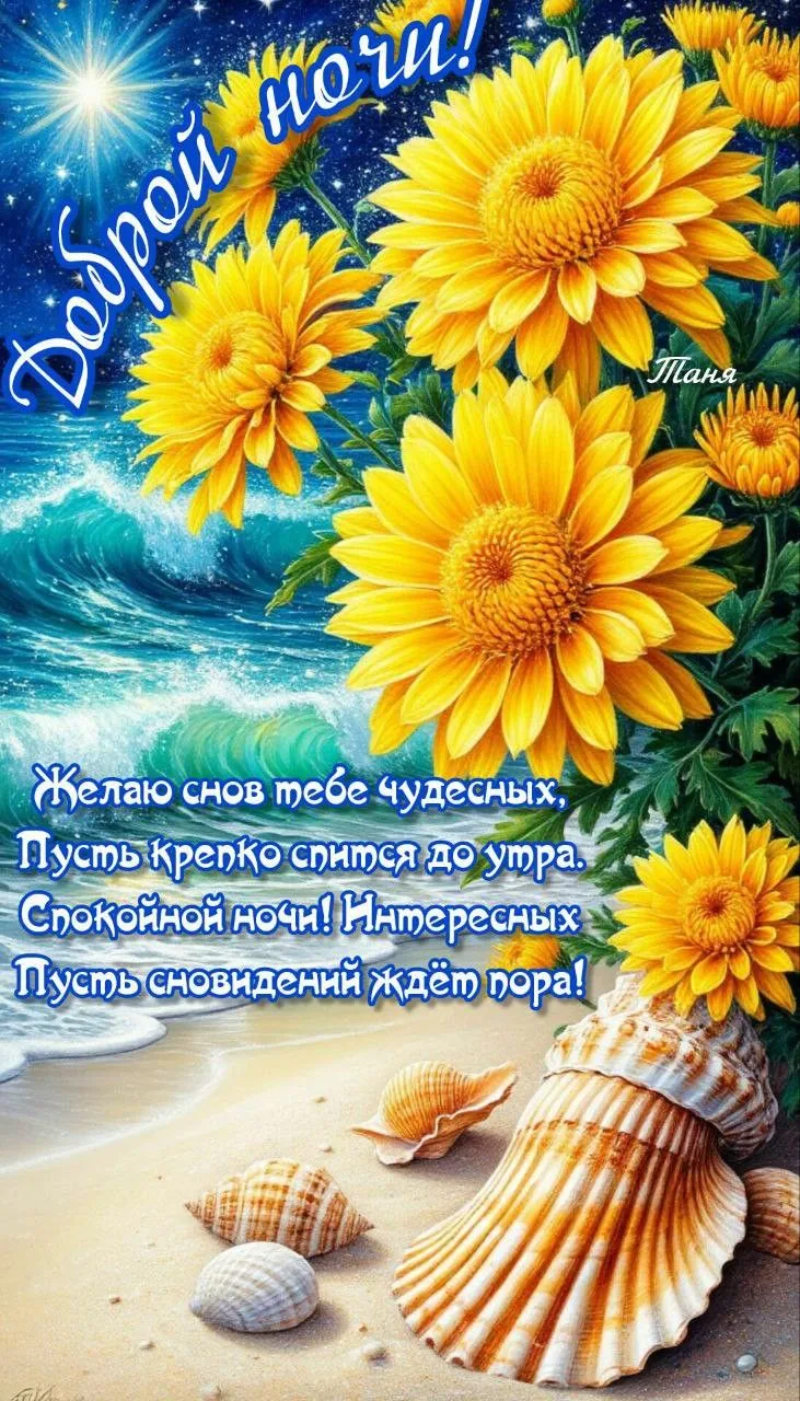 Доброй ночи! Прекрасных и сладких снов! ✨🌙