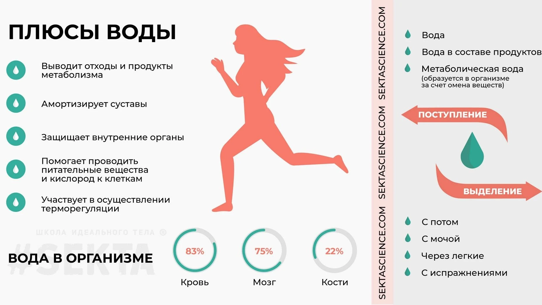 Водный баланс: что это такое и как его поддерживать❓❗