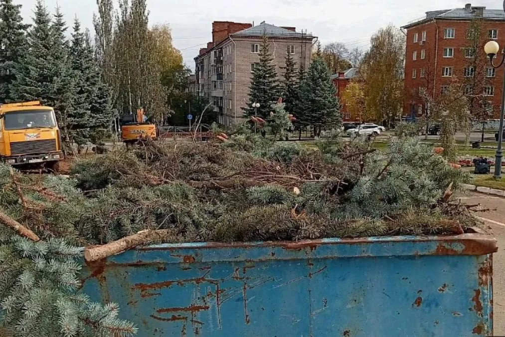 😢В Ижевске голубые ели спилили у здания Госсовета