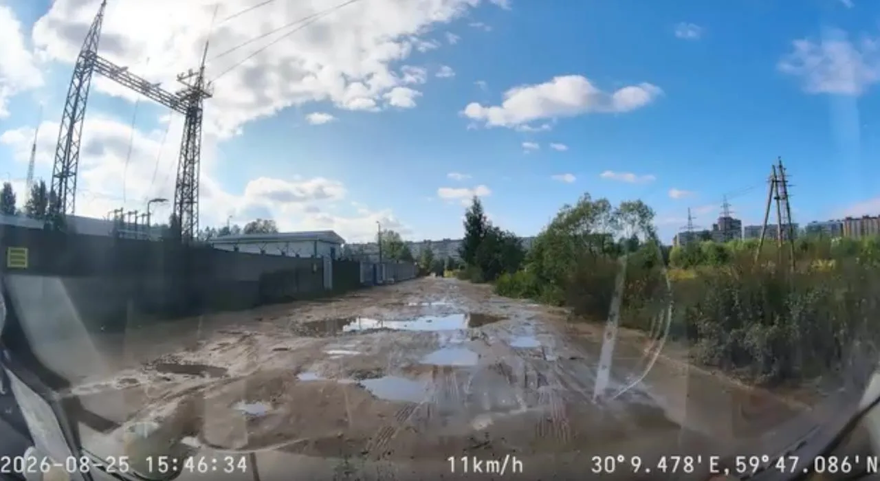 Состояние Заречной улицы в Горелово…