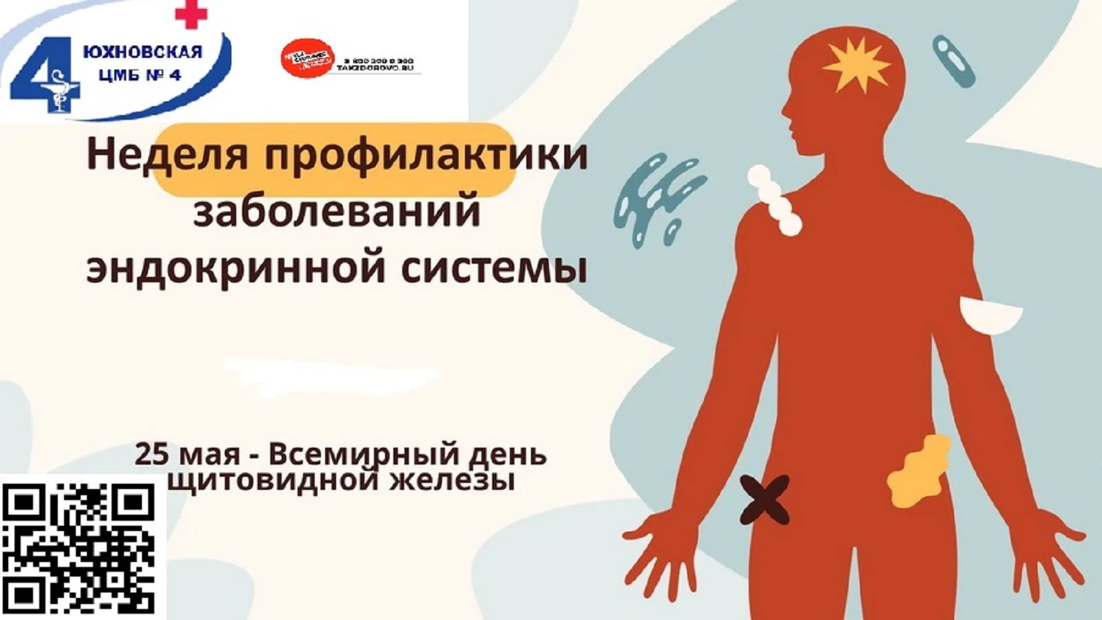 📌 Эндокринные заболевания относятся к работе желез внутренней секреции, и в последние ...