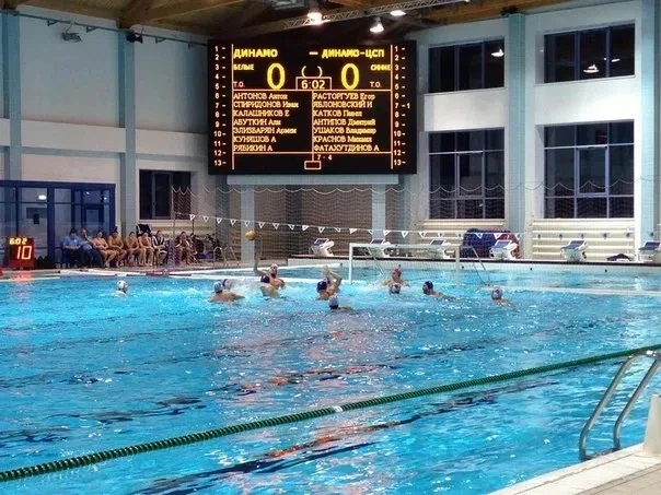 🤽‍♂️ Вид спорта недели: водное поло