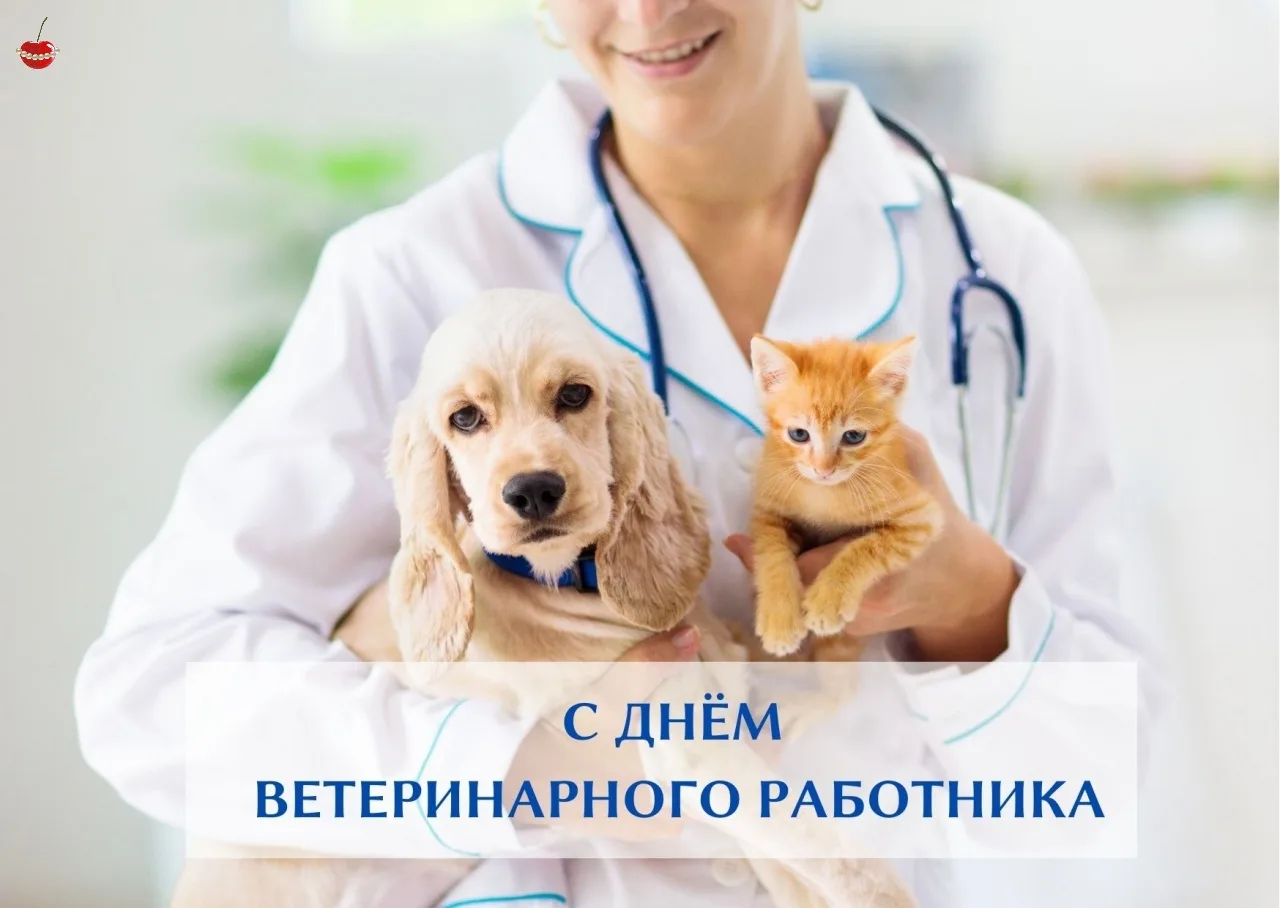 🎉 Сегодня отмечают свой профессиональный праздник ветеринары - люди с большим сердцем ...