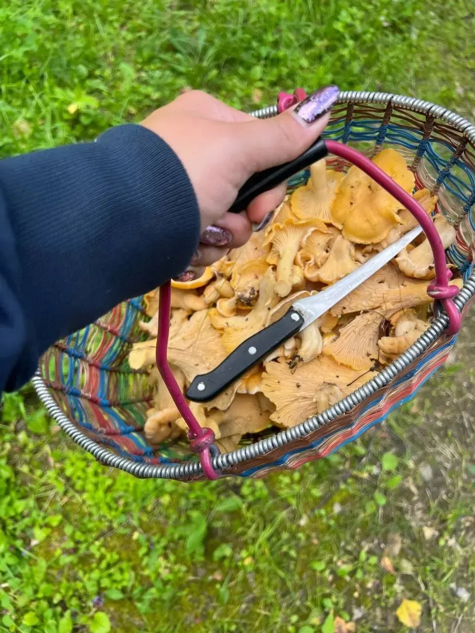 🍄‍🟫Сезон «тихой охоты» в Подмосковье в этом году выдался богатым. Сейчас, в конце лет...
