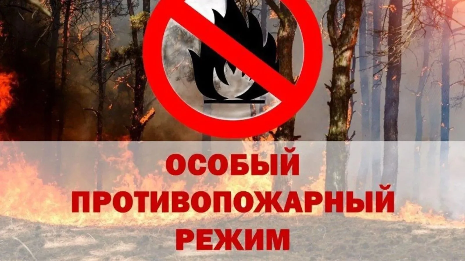 ✏️ В период с 25 апреля по 11 мая 2026 года на территории Республики Татарстан вводится...