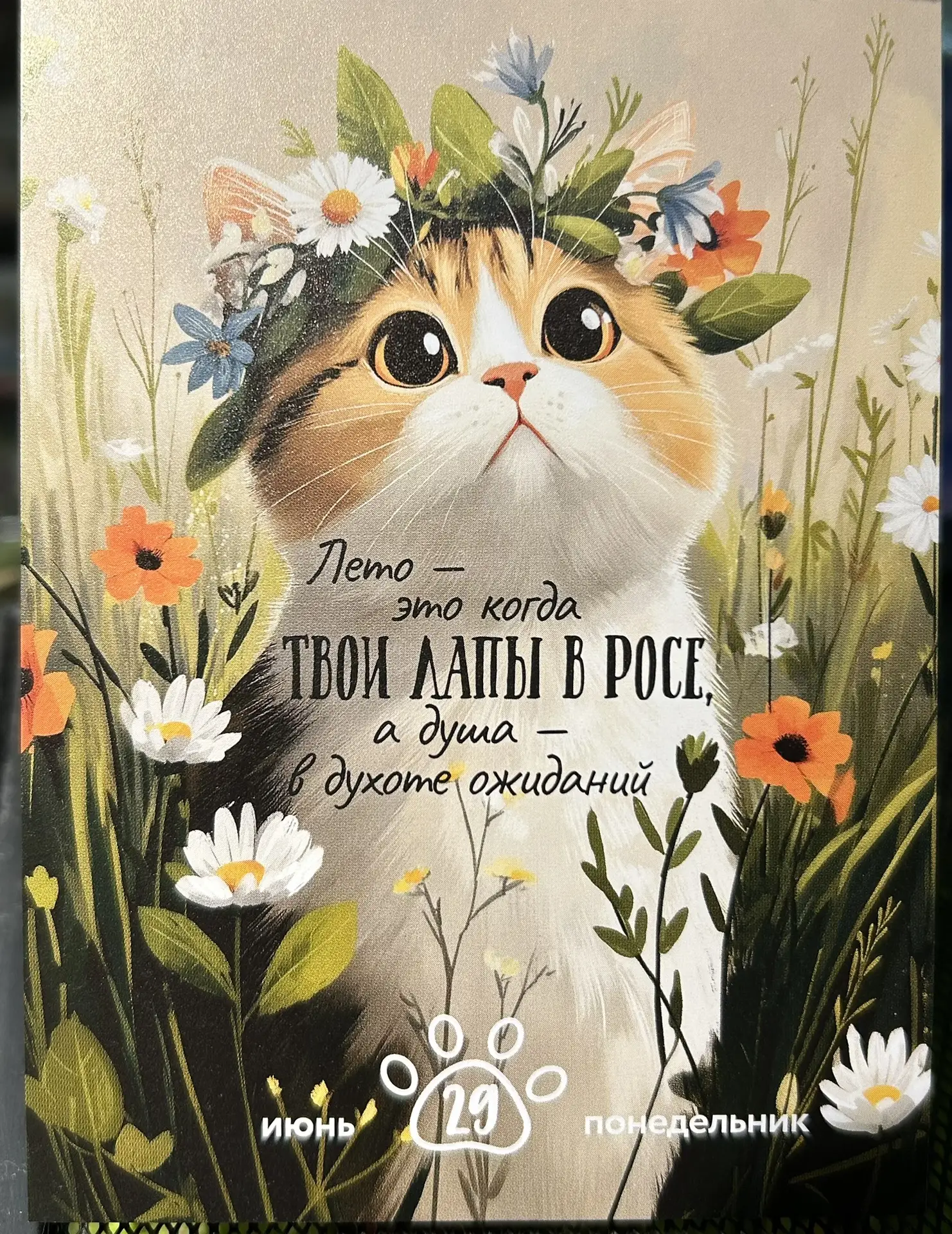 Друзья, всем доброго дня 🌷