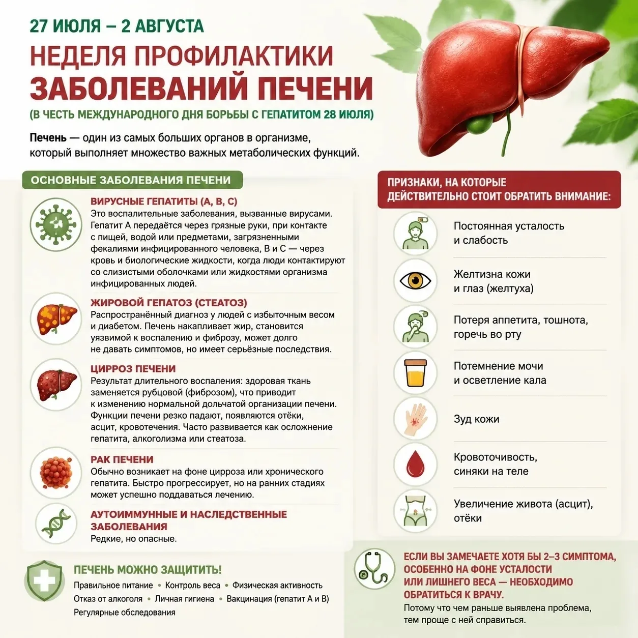 Неделя профилактики заболеваний печени