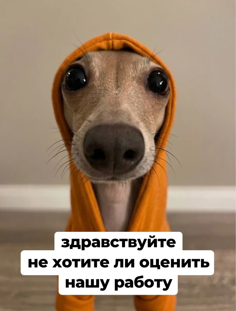 👀Есть что сказать о нашей работе?

🤗Друзья, приглашаем вас поделиться своим мнением и оценить каче