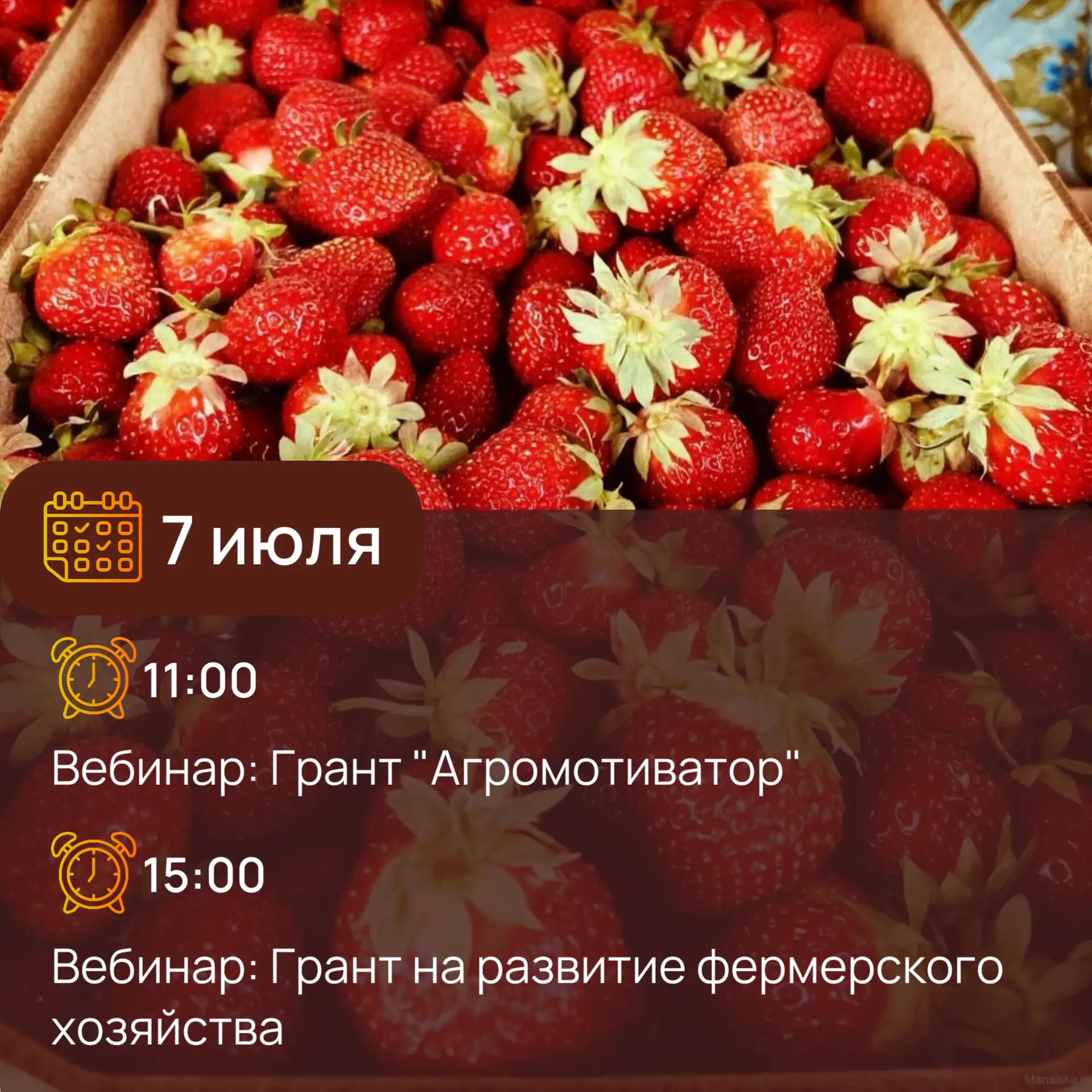 ⚡ Центр компетенций в сфере АПК приглашает принять участие в обучающих вебинарах, посвя...