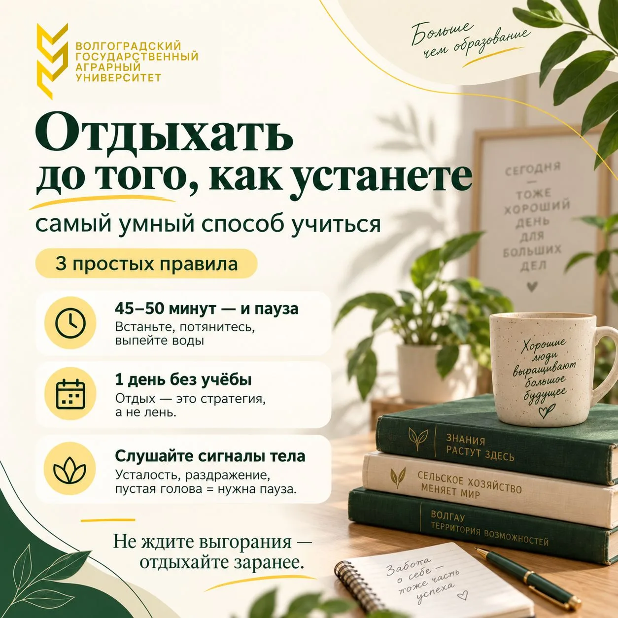 Советы первокурсникам 💬