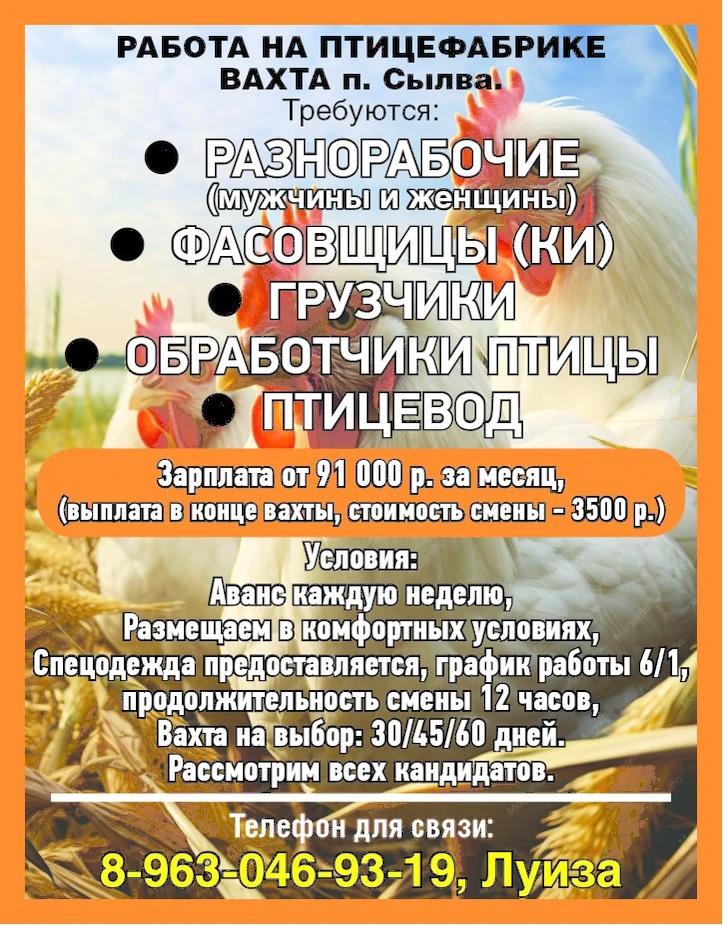 Работа на птицефабрике. Вахта. п. Сылва. Требуются:
-разнорабочие (мужчины и женщины)
- фасовщицы(