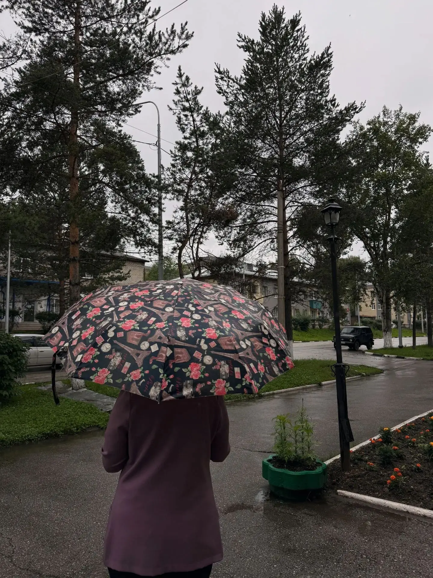 ☔В Сковородинском округе дейтвует режим повышенной готовности

В связи с ухудшением погодных условий