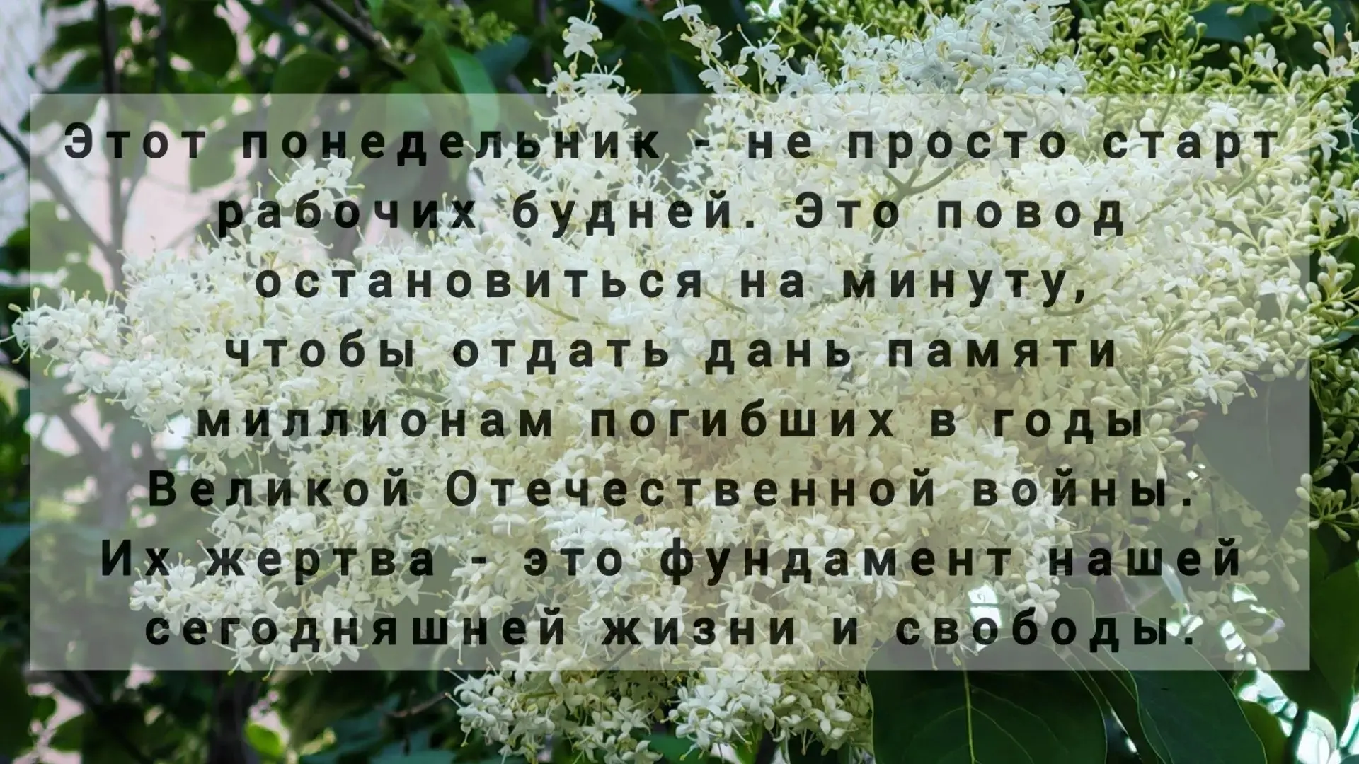 Уважаемые жители и гости Биробиджанского района!

🌷Пусть трудовая неделя будет успешной, а мирное н