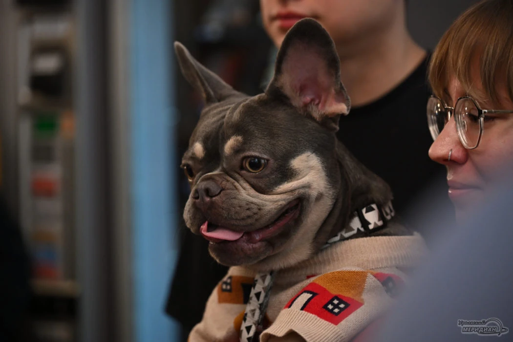🐕 В Нижнем Тагиле заработал новый центр временного содержания безнадзорных животных.