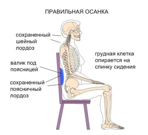 🔍 Рубрика «Судейский вердикт»