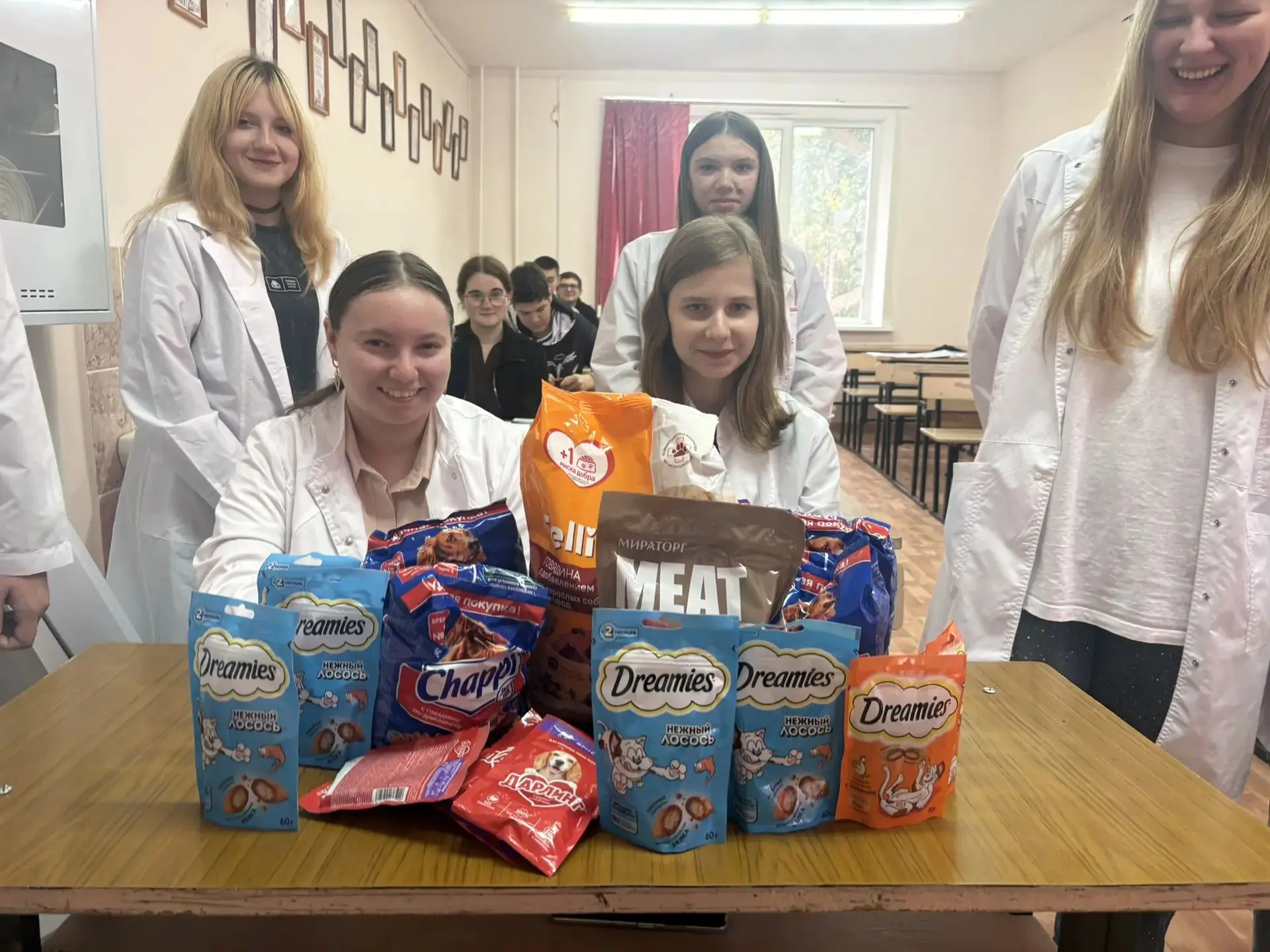 🎉 День защиты животных: когда помощь — это не просто слово! 🎉