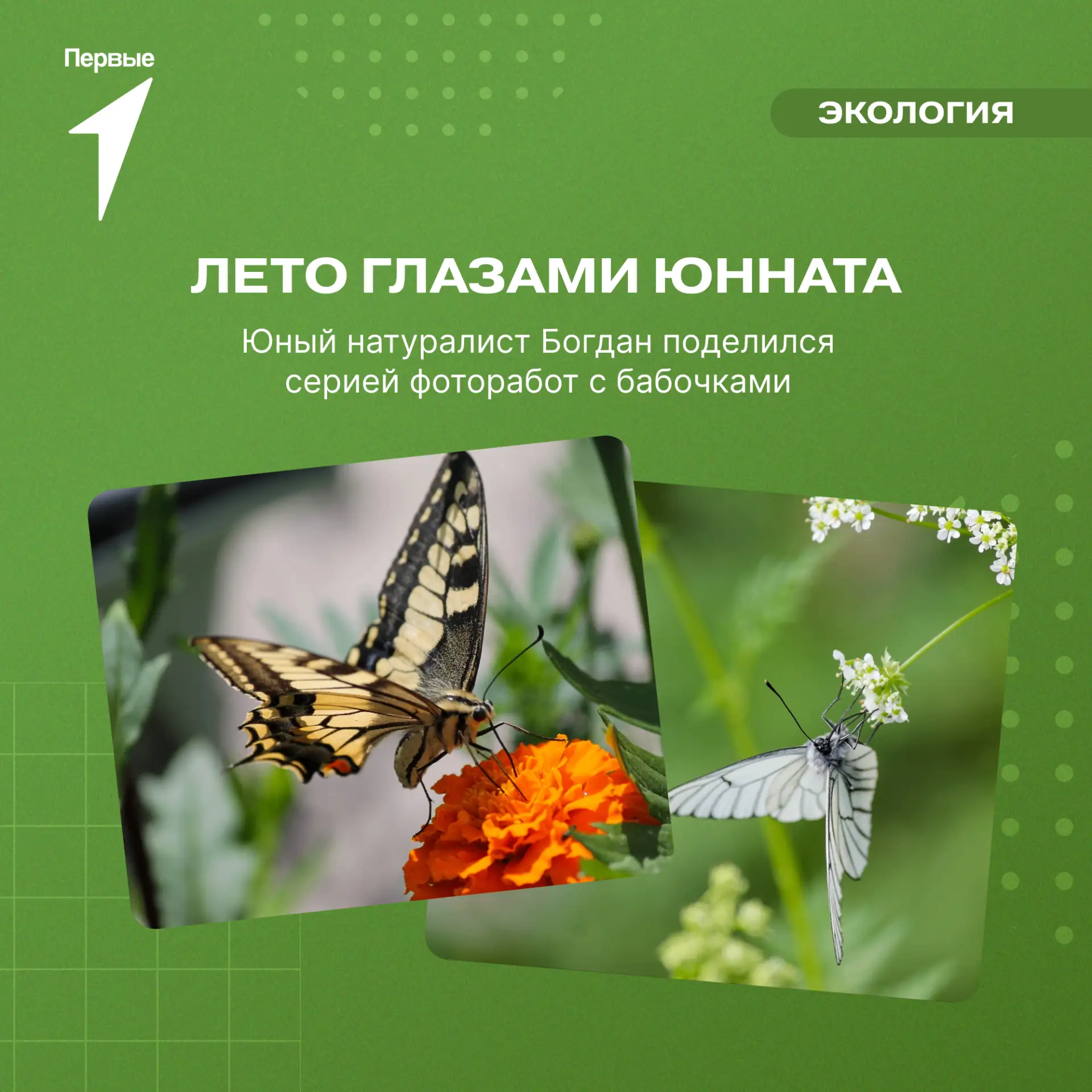🦋 Лови момент!