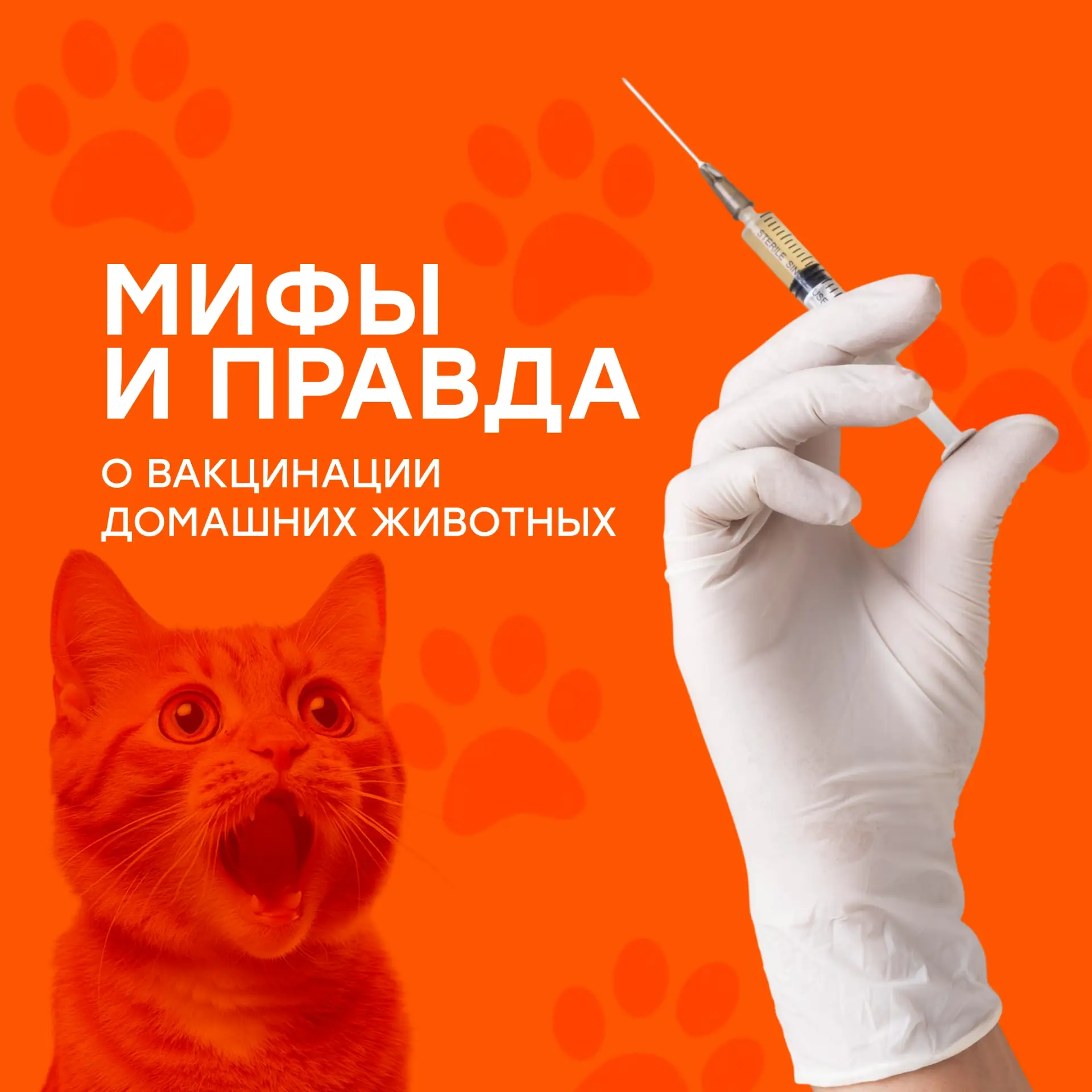 💉 МИФЫ о вакцинации