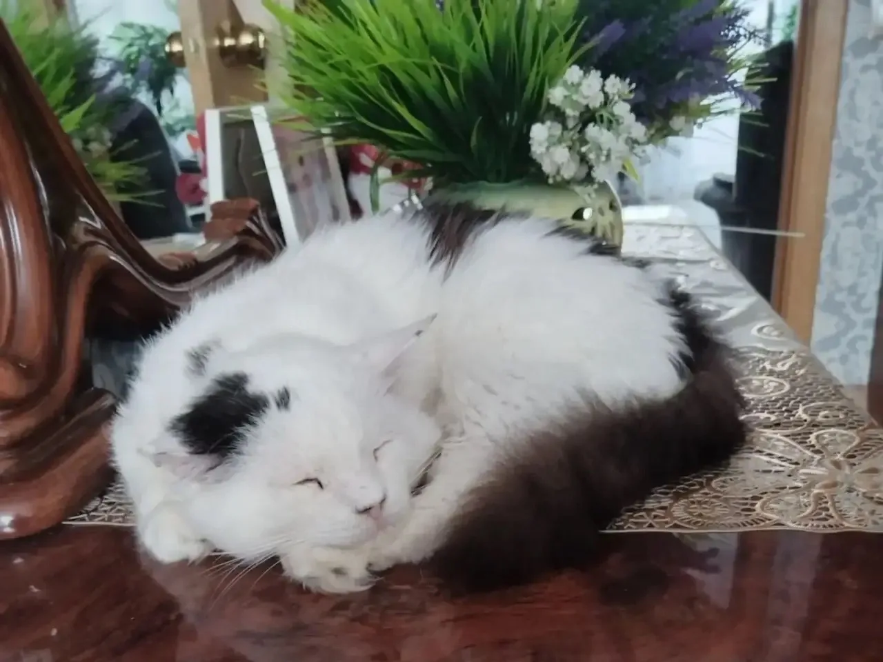 У нас здесь добрый приветик из дома от Бима 🥰
