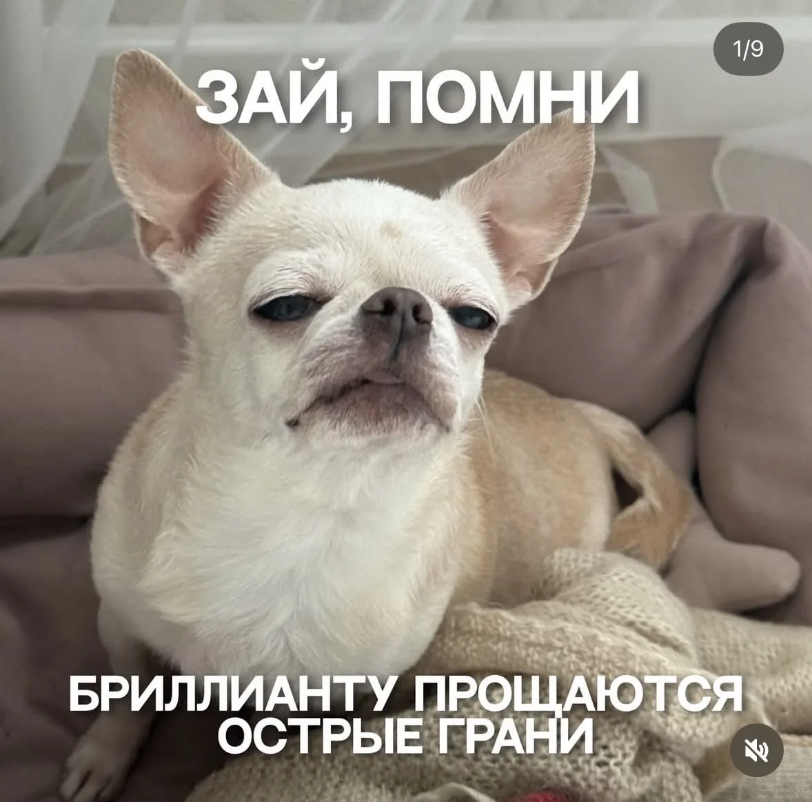 Настроение на понедельник