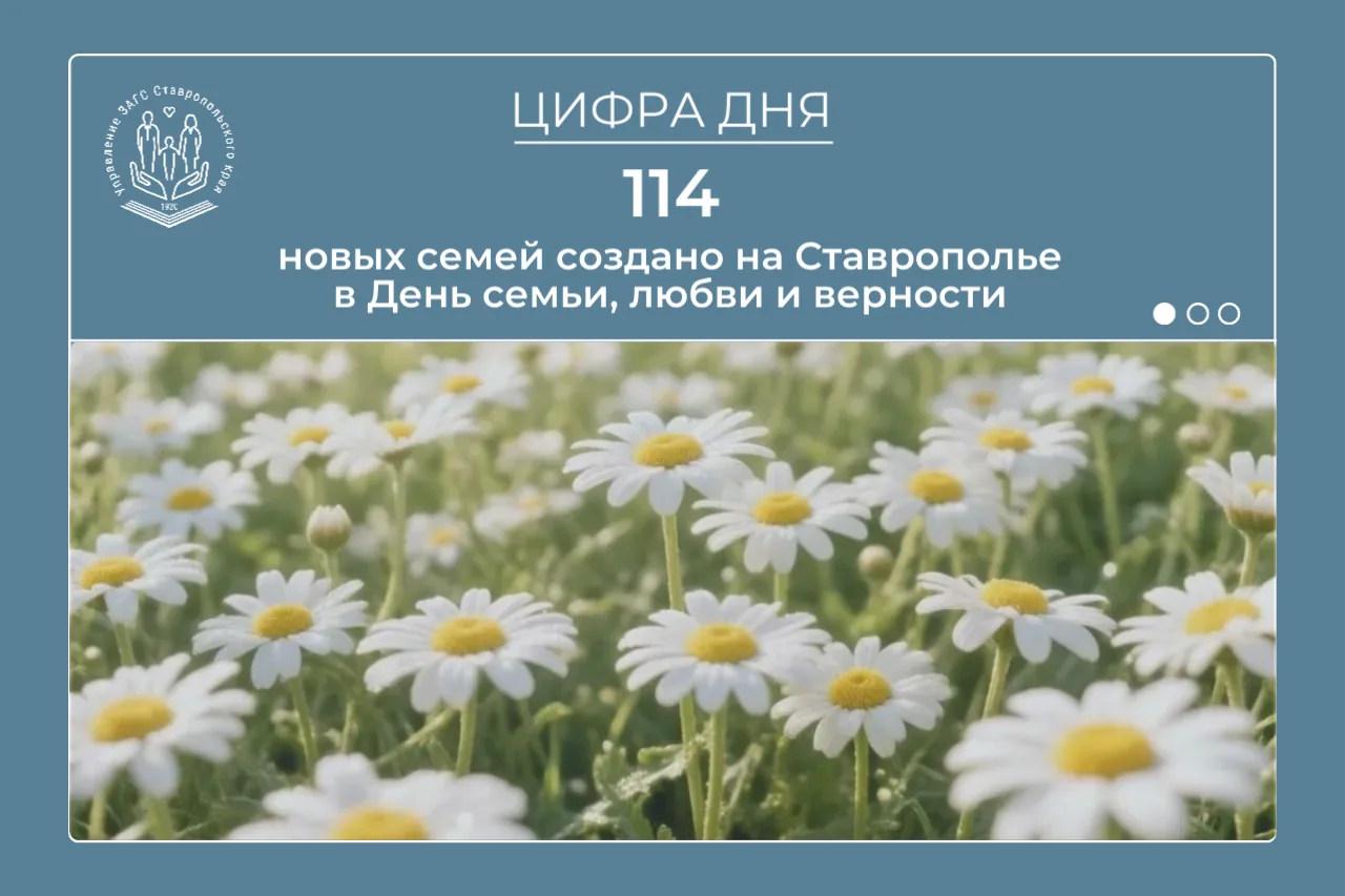 #цифрадня
